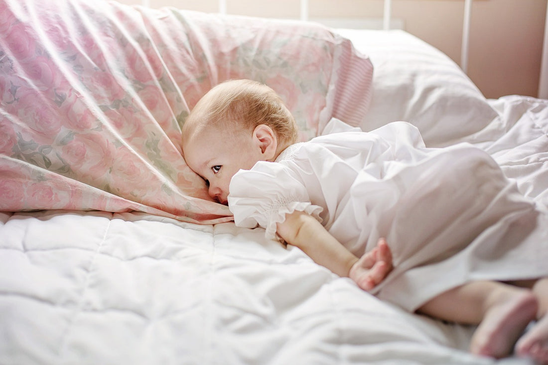 protecting baby from bed bugs