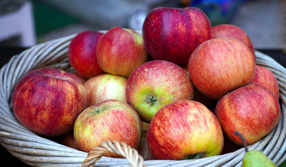 storing apples longer