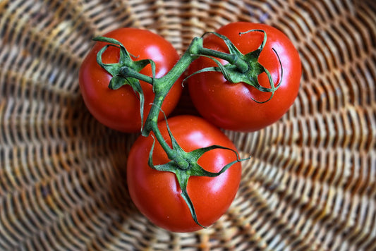 tomato storing tips