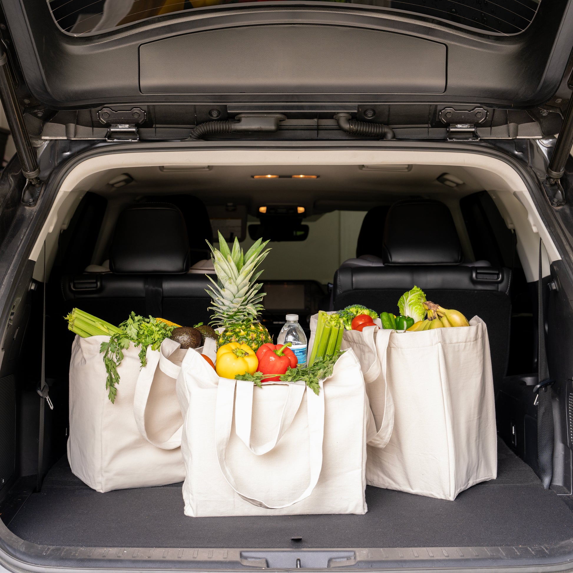 Portable Canvas Tote Bags in Car